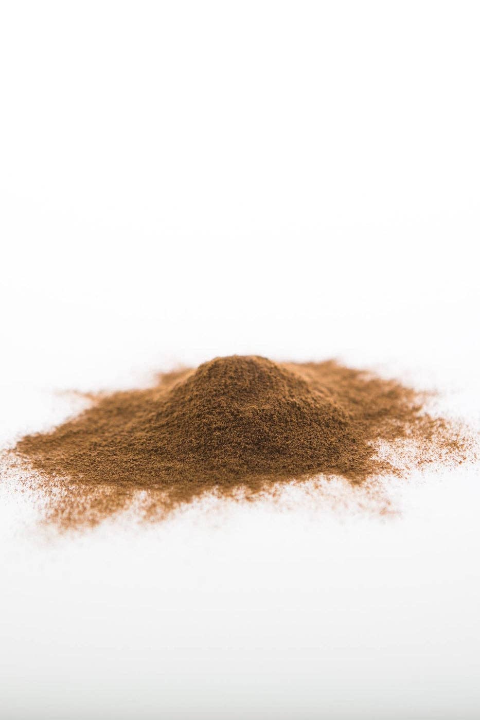 Sun Potion - Wholesale Protein/Superfood Powder - Chaga Mushroom Powder (Wildcrafted)7
