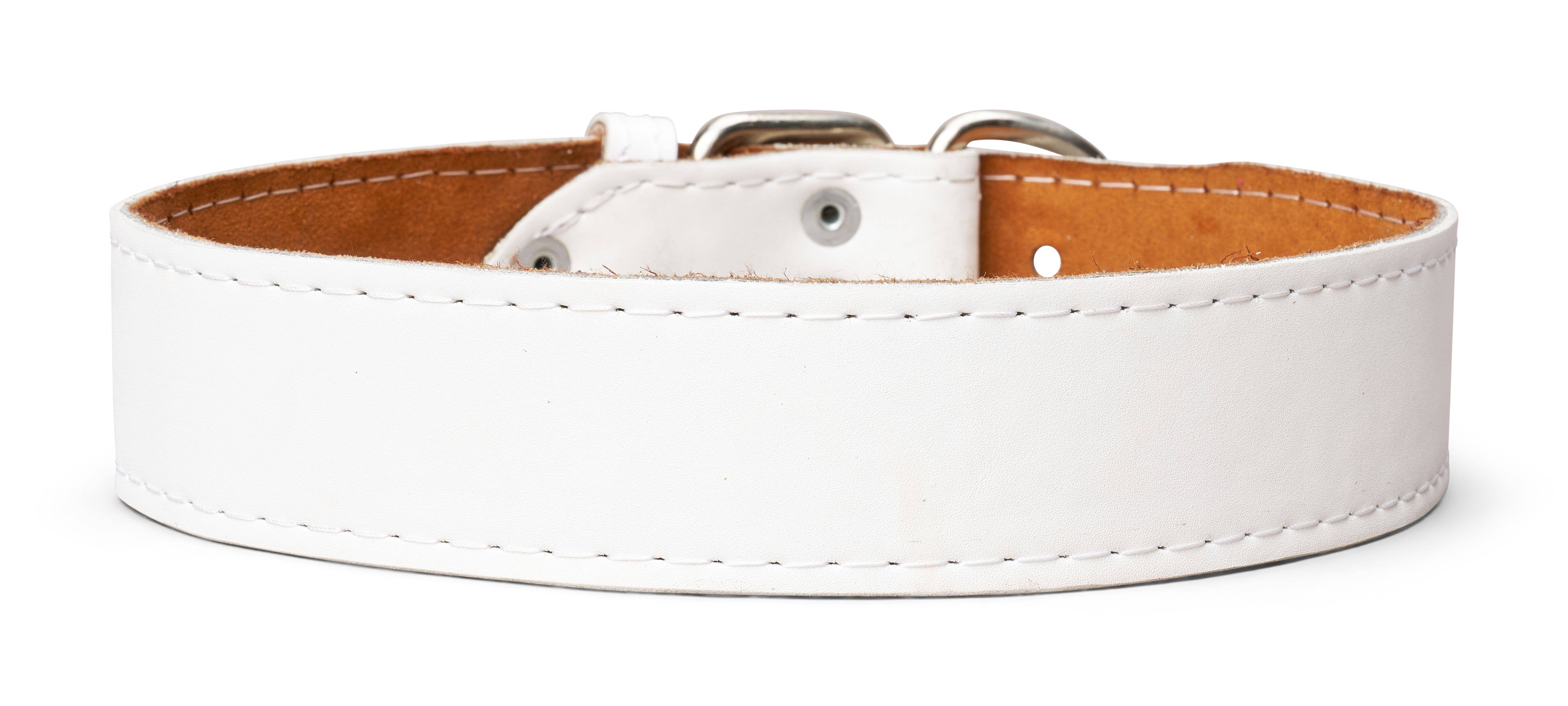 TOP DOG BRAND INC - Wholesale Pet Collar - Dog - 1 3/4 Inch Wide Plain Leather Collars8