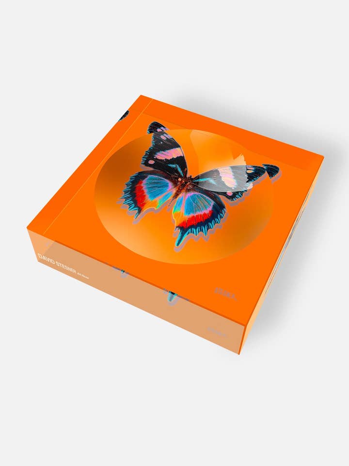 Solé Radiance Vlinder Acryl Sieradenschaal voor wholesale door David Stesner ArtHouse