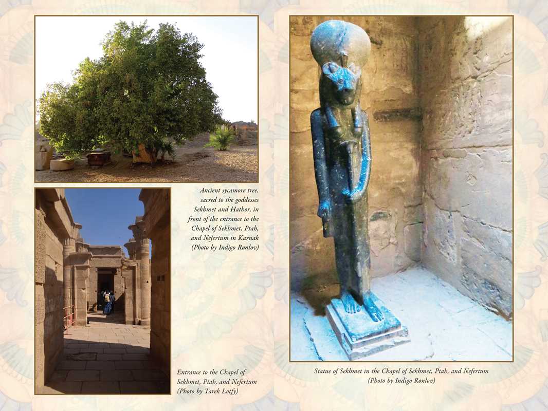 Simon & Schuster - Wholesale Body, Mind & Spirit - Sekhmet by Nicki Scully2