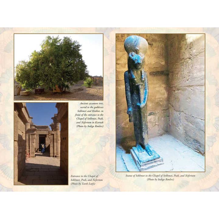 Simon & Schuster - Wholesale Body, Mind & Spirit - Sekhmet by Nicki Scully2