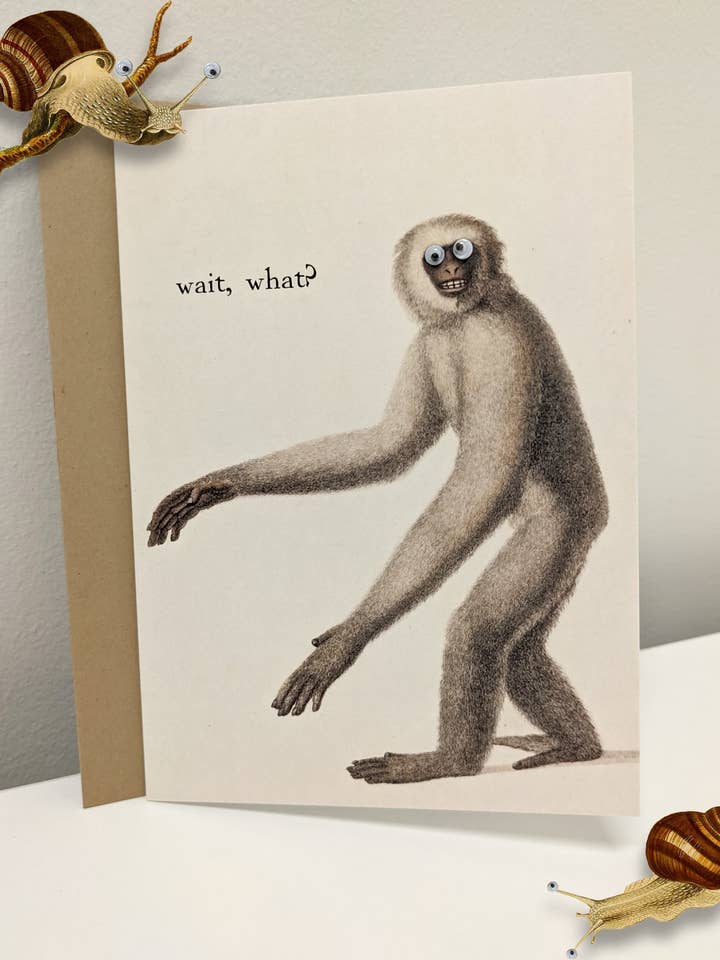 Wait, what? Greeting Card with Googly Eyes for wholesale by Shut Up Telescope