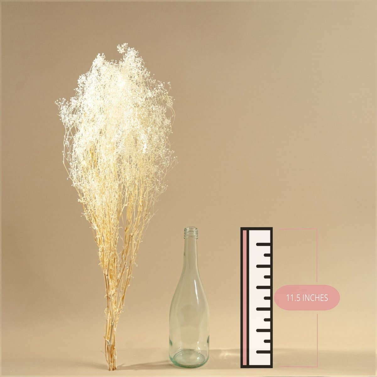 Sola Wood Flowers - Wholesale Dried/Pressed Flowers - Baby's Breath (White)1