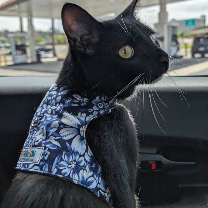 Purrfashion - Wholesale Pet Harness - Cat - Assorted Adjustable Cat Harnesses