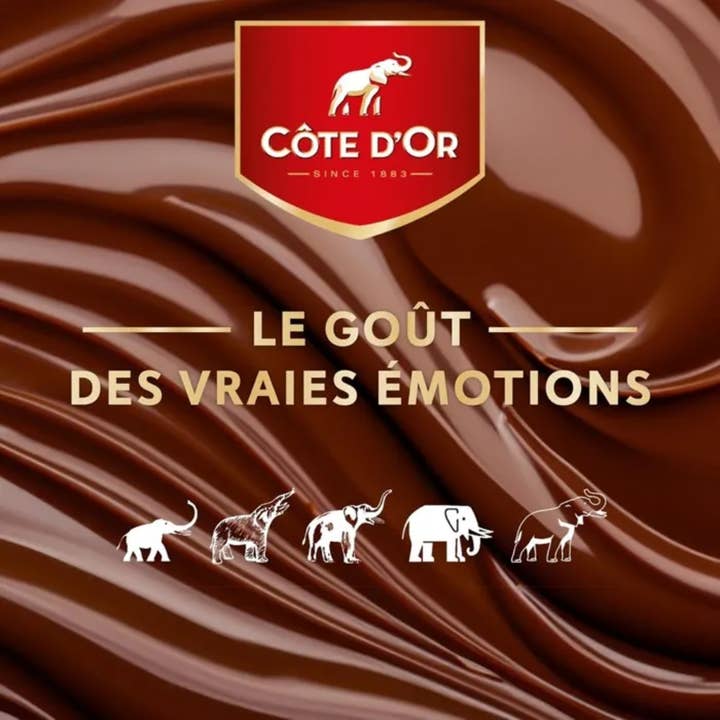 123bonbon - Wholesale Chocolate - BLACK HAZELNUT BAR COTE D'OR 180G2