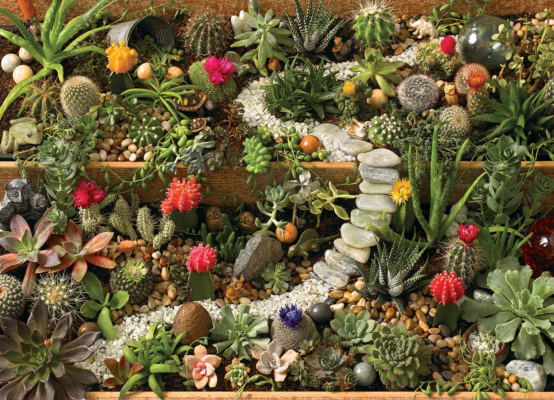 Outset Games and Cobble Hill Puzzles - Wholesale Puzzle - Adult - Succulent Garden 1000pc puzzle1