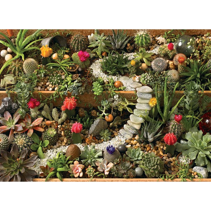 Outset Games and Cobble Hill Puzzles - Wholesale Puzzle - Adult - Succulent Garden 1000pc puzzle1