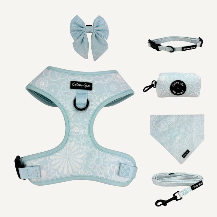 Sky Blue Deluxe 6-Piece Dog Matching Set- Divine Petals for wholesale by Daizzy Gear
