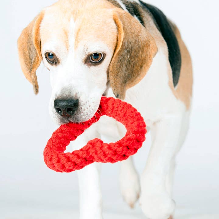 LABONI - Volentis GmbH - Wholesale Pet Rope Toy - Dog - Hertha-Herz