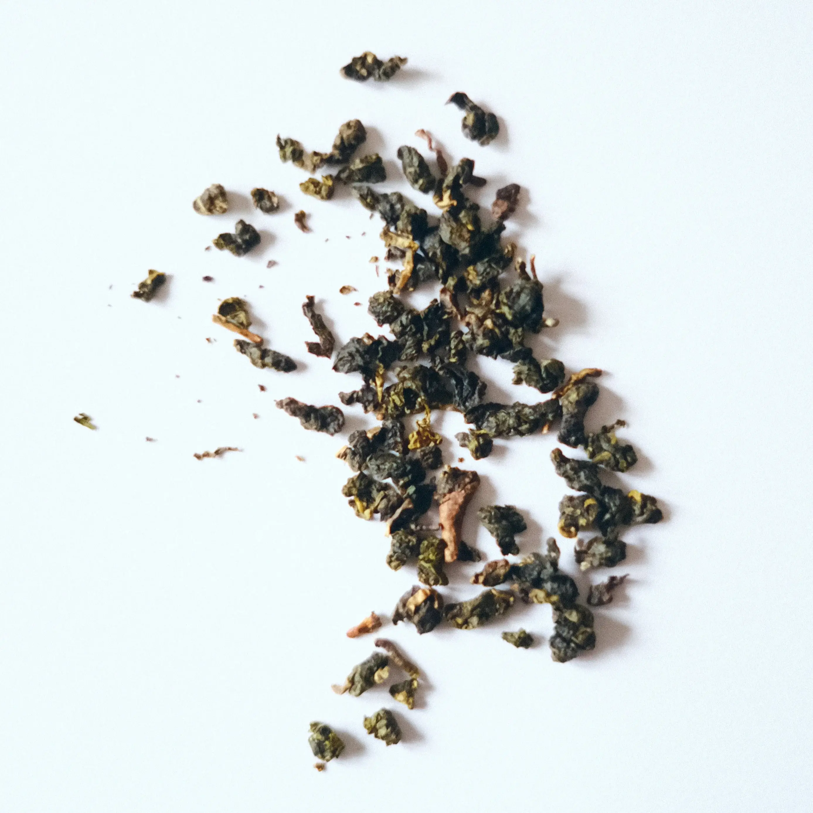 DAE - Wholesale Tea Bags - 1000M Oolong4