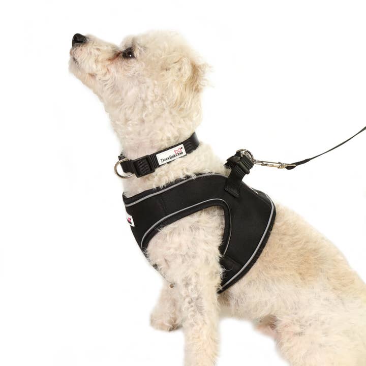 Doodlebone – wholesale Pet collar – Dog – Dog Collar7