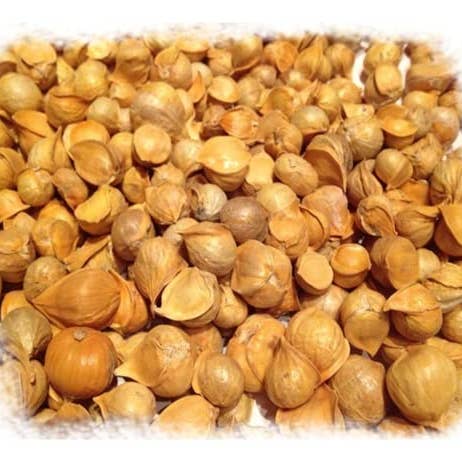 YERBERO - Wholesale Herbs - Yerbero - Ajo Japones - Multiple Sizes - Japanese Garlic Chinese Garlic Ajo Chino Premium Quality Wildcrafted All Natural Big Size Cloves