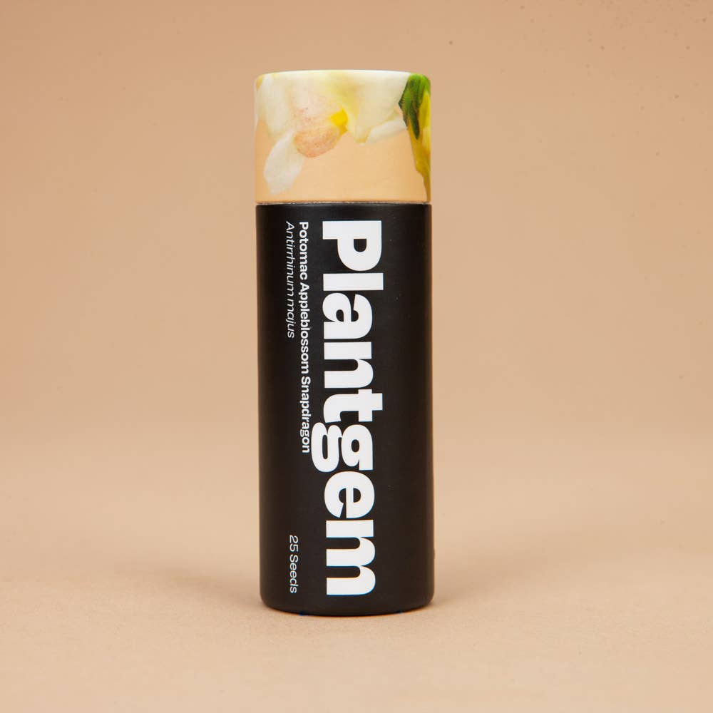 Plantgem - Wholesale Plant Seeds - Potomac Appleblossom Snapdragon - 50 Seeds