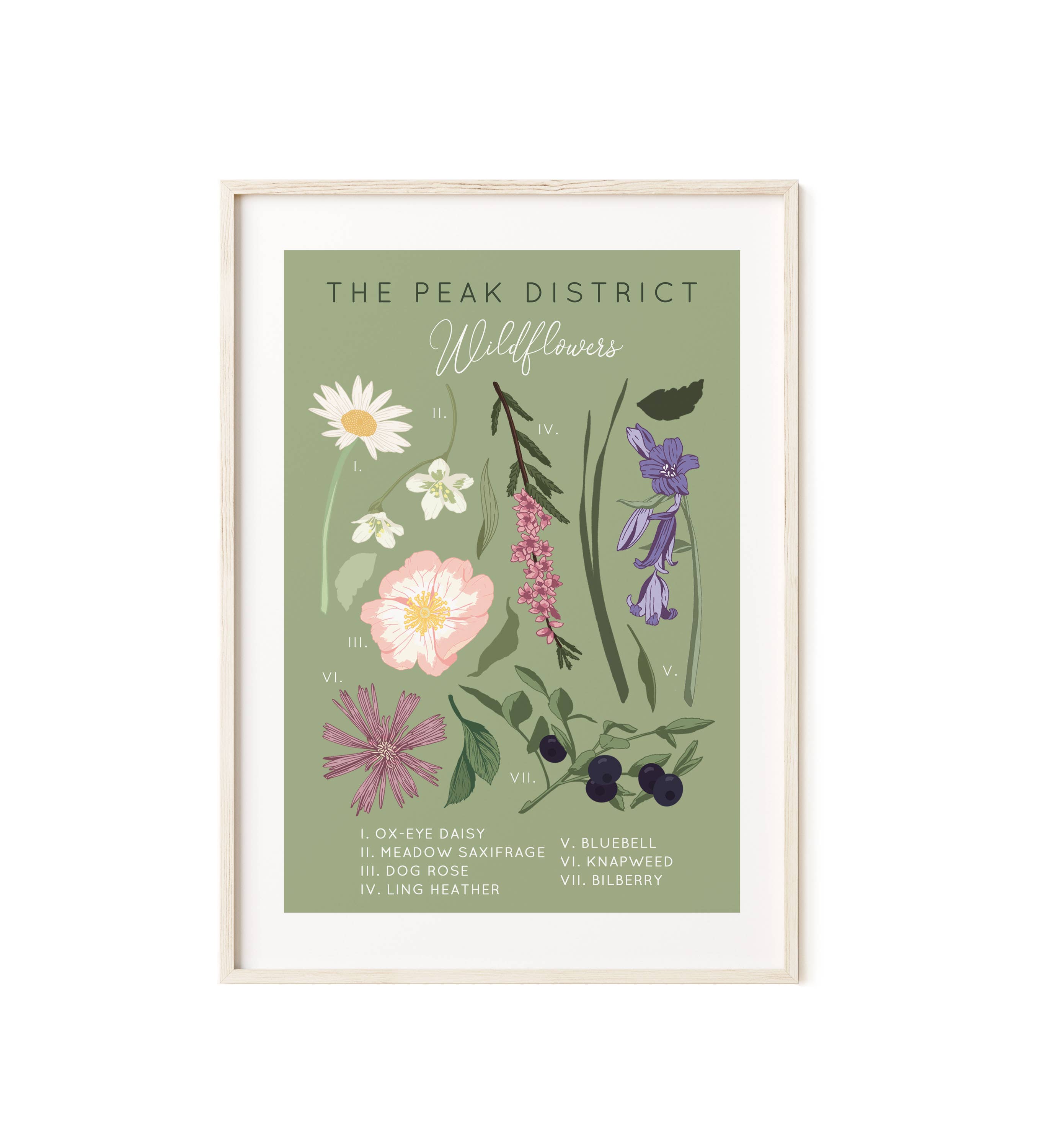 Wildwood Paper – wholesale Art print – The Peak District Wildflowers A4/A3 Illustrated Art Print