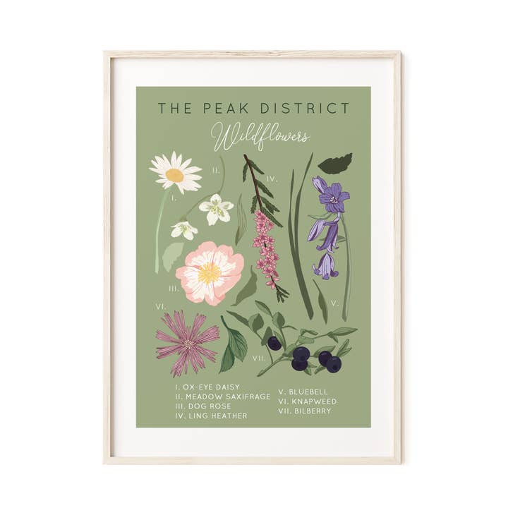 Wildwood Paper – wholesale Art print – The Peak District Wildflowers A4/A3 Illustrated Art Print0