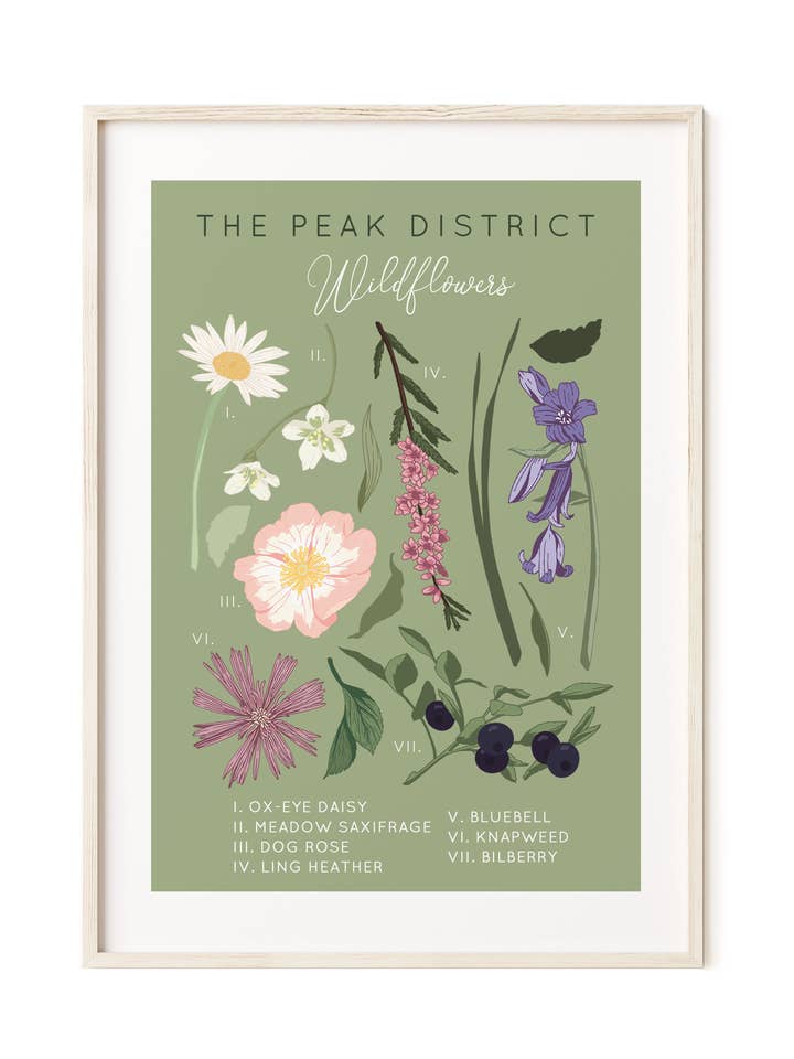 The Peak District Wildflowers A4/A3 geïllustreerde kunstdruk voor wholesale door Wildwood Paper