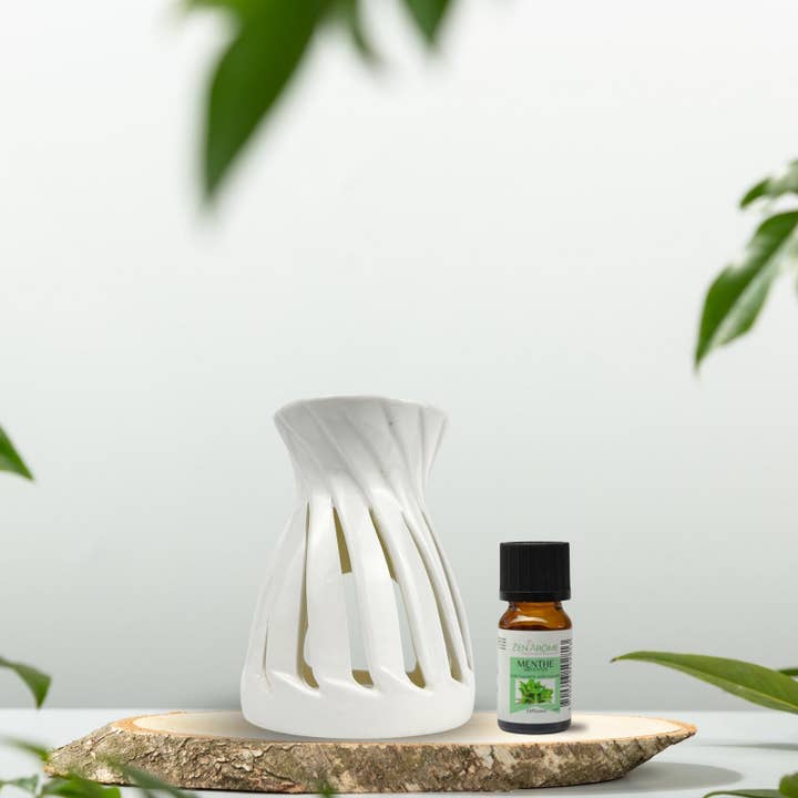 Zen'ArĂ´me - Wholesale Fragrance Warmer - Ceramic Corta White Fragrance Burner and Scented Melts11