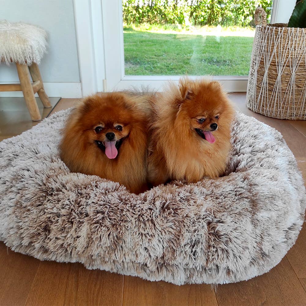 Bobby Canifrance - Vente Panier – chien - Couchette pour chien - Poilu Donut - Bobby3