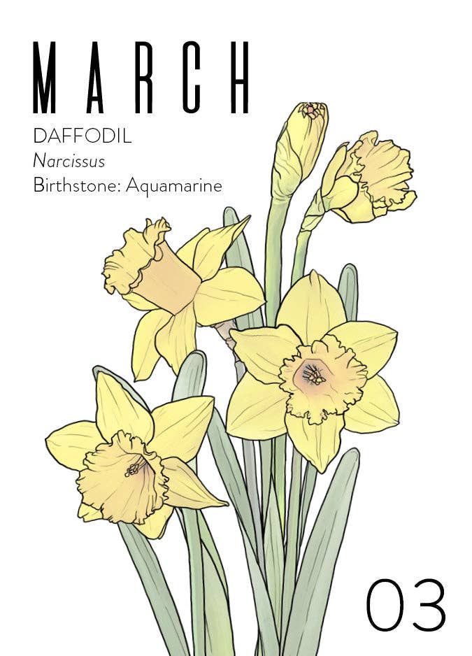 WildFlora - Wholesale Verjaardagskaartje - Groothandel Wenskaarten: Geboortemaand Collectie (set van 12)4