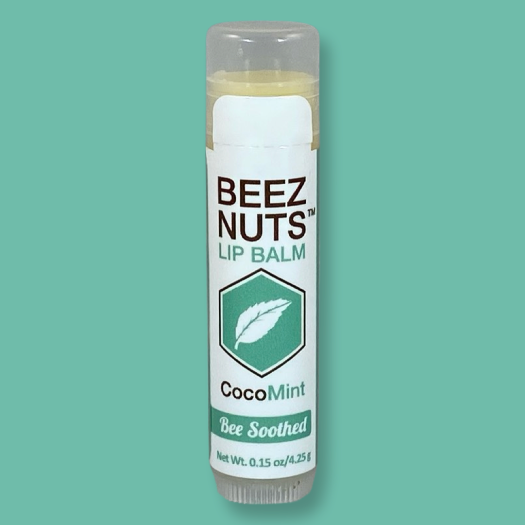 Beez Nuts Balms - Wholesale Lip Balm Set - CocoMint Lip Balms - 12 pack4