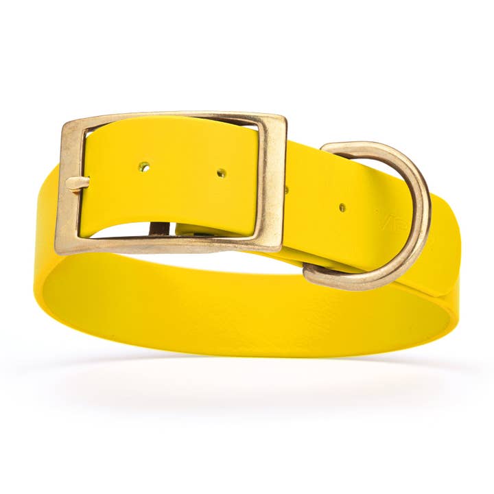 Dogline - Wholesale Pet Collar - Dog - Viper Biothane Waterproof Collar - Brass Hardware - Size S (12 to 15 inches)34