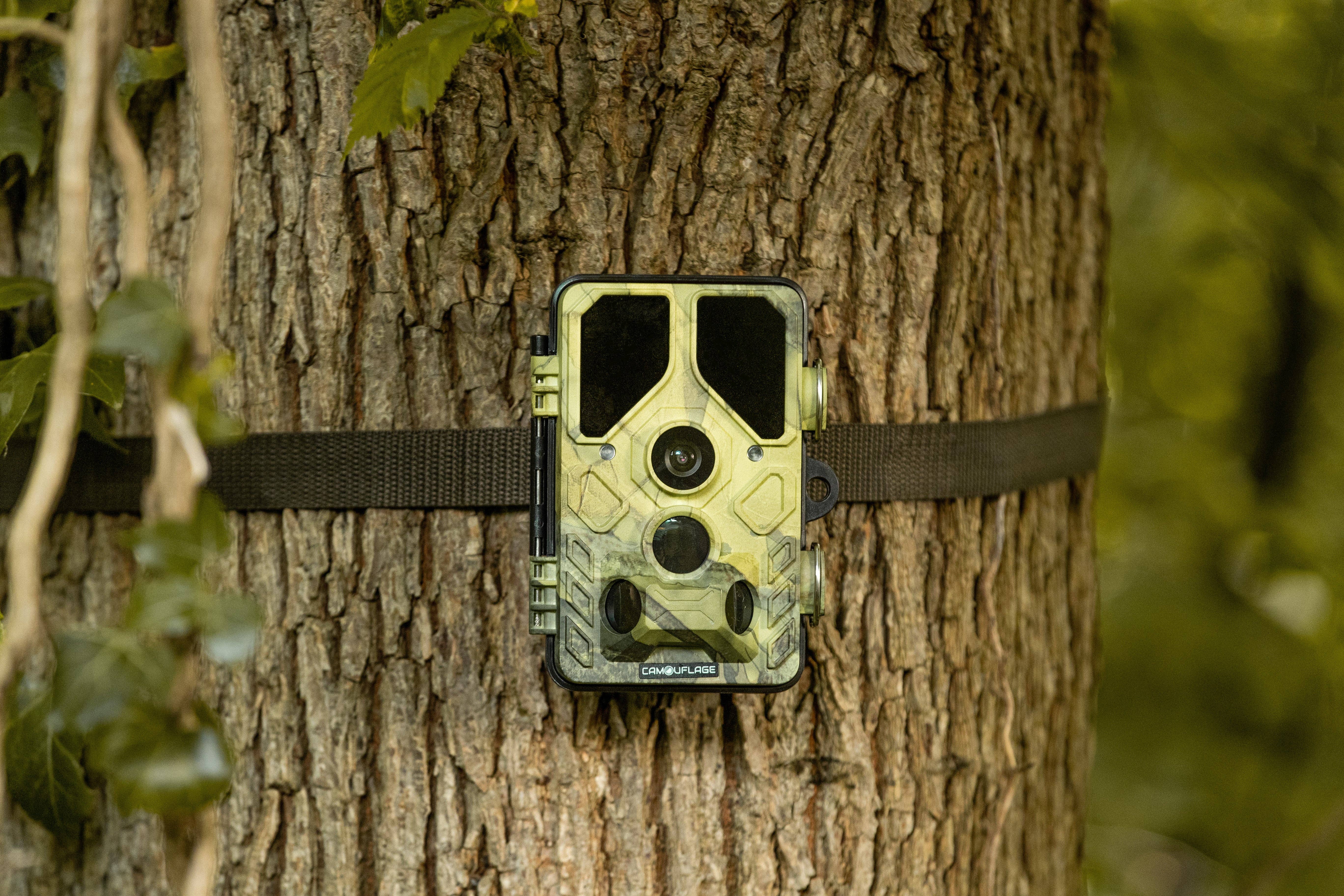 Camouflage - Wholesale Sporting Accessories - Camouflage EZ45 - Wildlife Camera with WIFI1