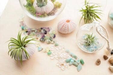The Simply Crafty Shop - Wholesale Terrarium - Mini Orb Air Plant Terrarium Kit - Semi-Precious Stone42