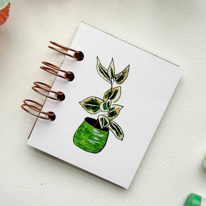 Hand-Illustrated + Handmade Mini Notebook/Sketchbook | Ficus Houseplant for wholesale by D. Prince Designs