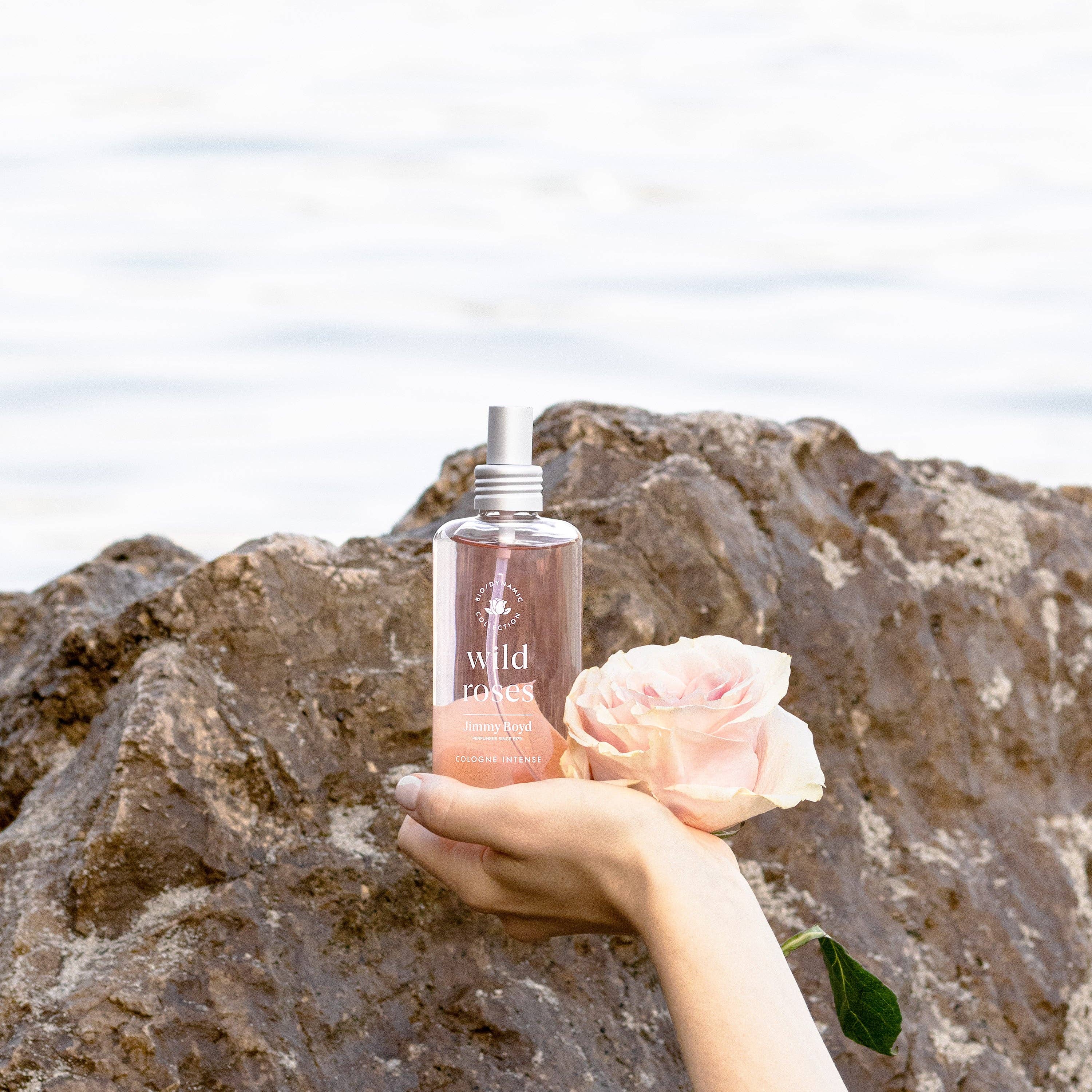 Abundance Naturally Ltd. - Wholesale Perfume/Eau de Toilette - Jimmy Boyd | Intense Cologne - WILD ROSE1