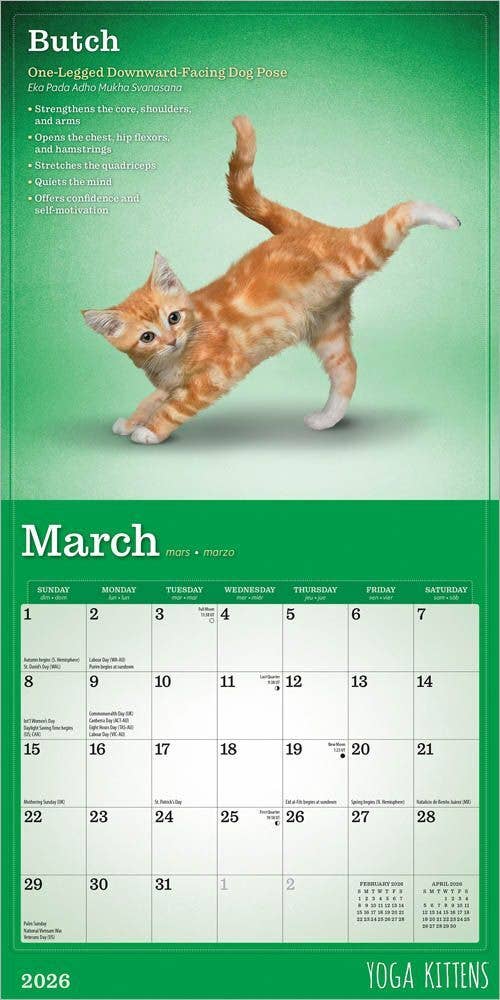 BrownTrout Publishers - Wholesale Calendar - Yoga Kittens OFFICIAL 2026 Monthly Mini Wall Calendar  2