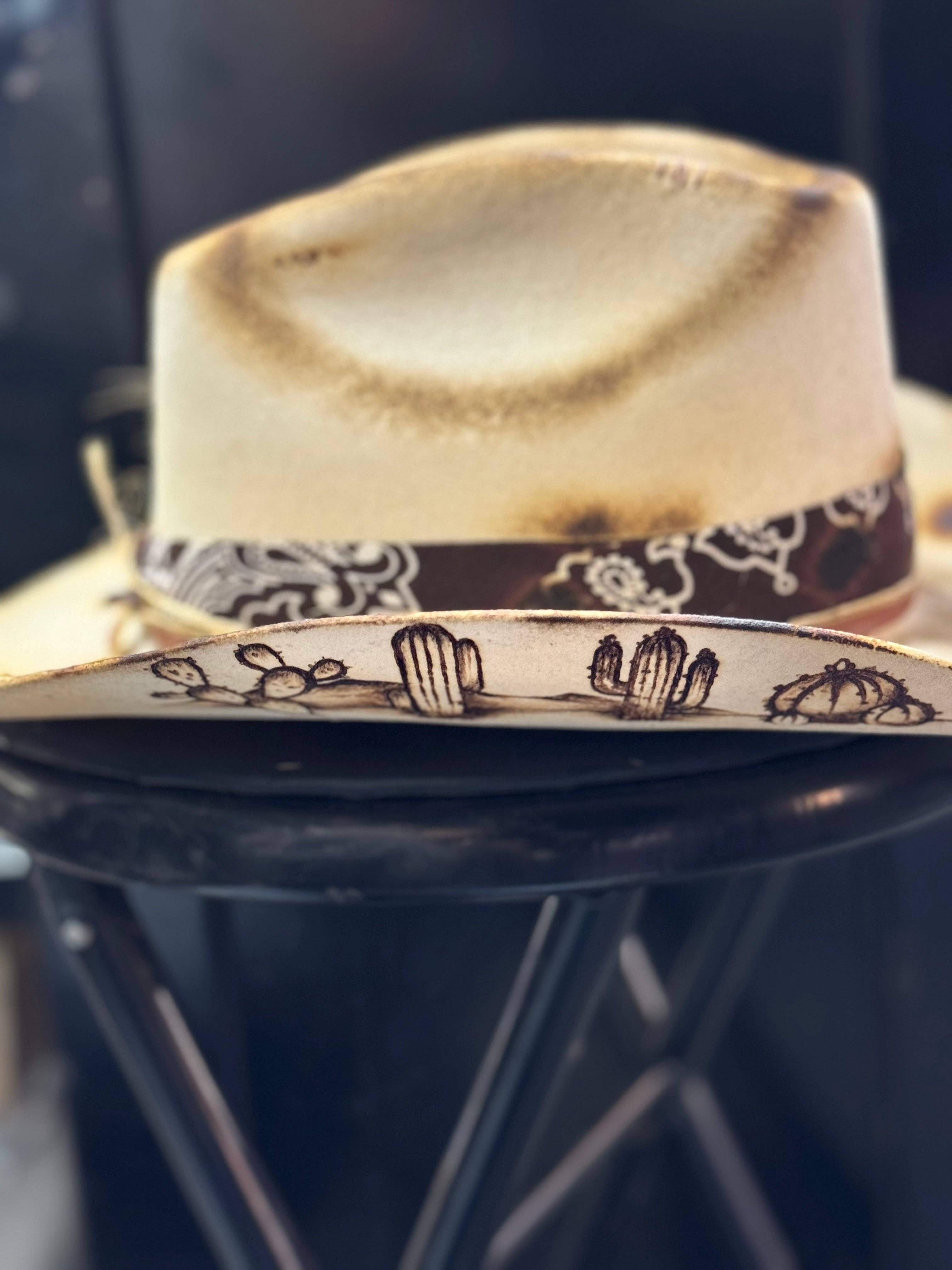 Alberly USA - Wholesale Cowboy Hat - Unisex - old west in the desert3