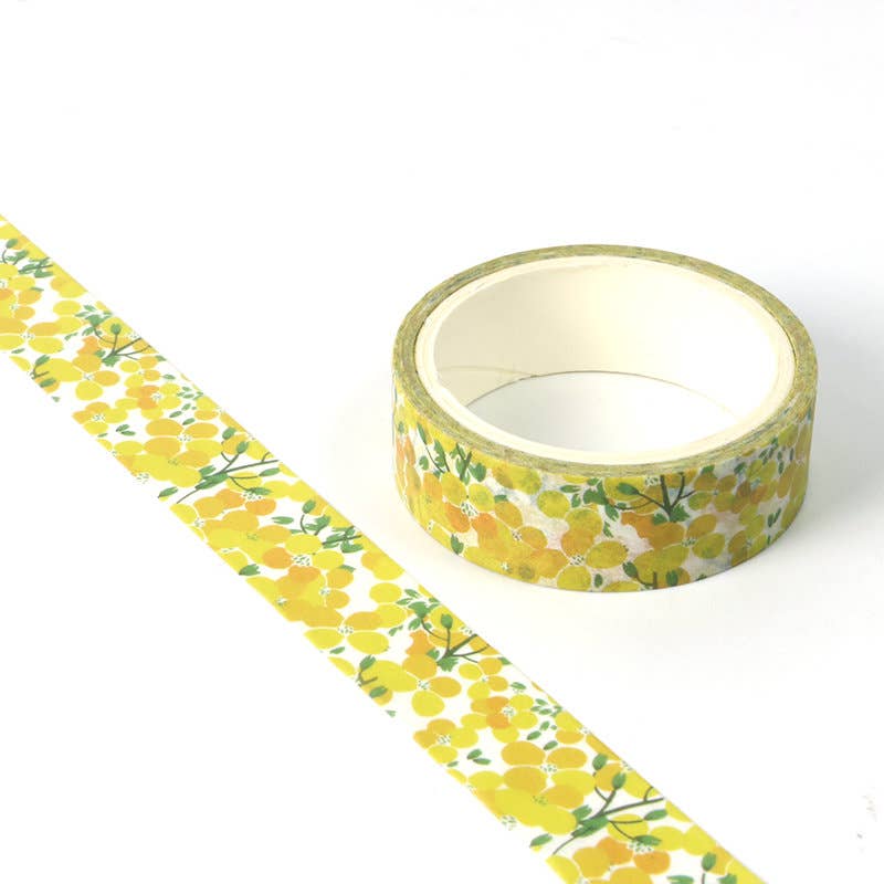 Love My Tapes Inc - Wholesale Washi Tape - Apricot Fruit Washi Tape1
