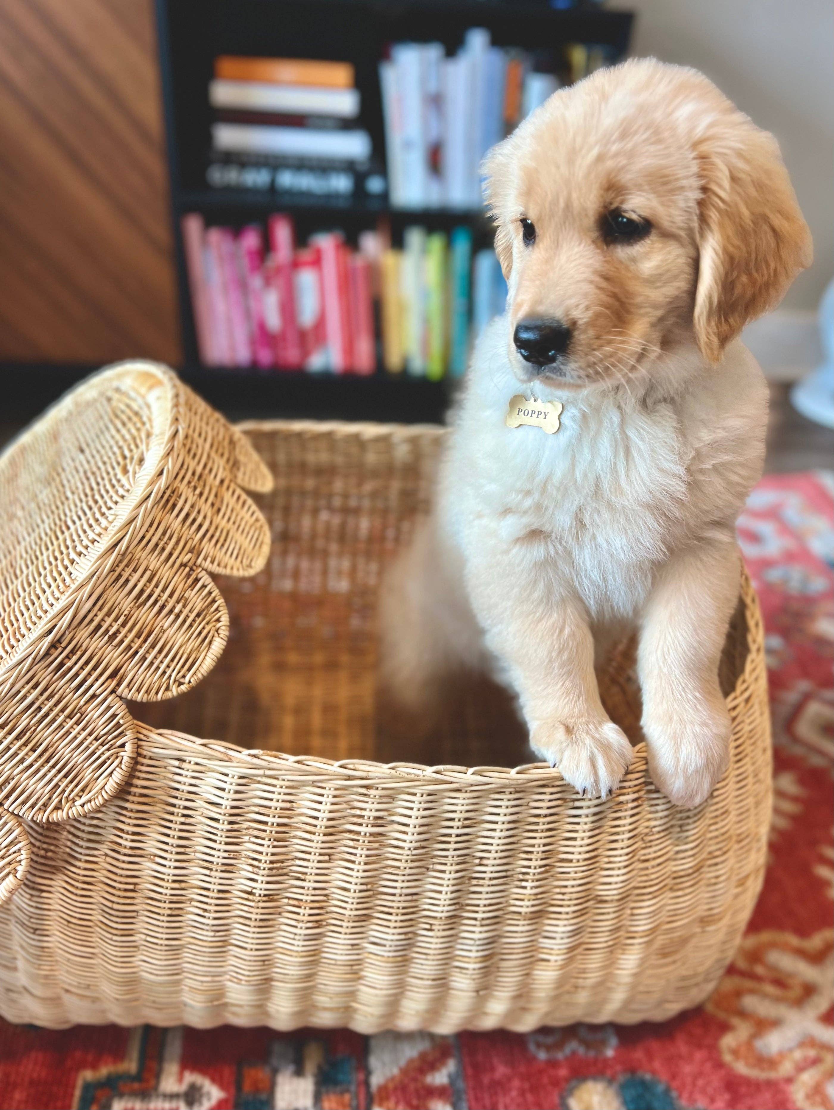 Auden & Avery - Wholesale Basket - Scalloped Rattan Basket - Medium 10