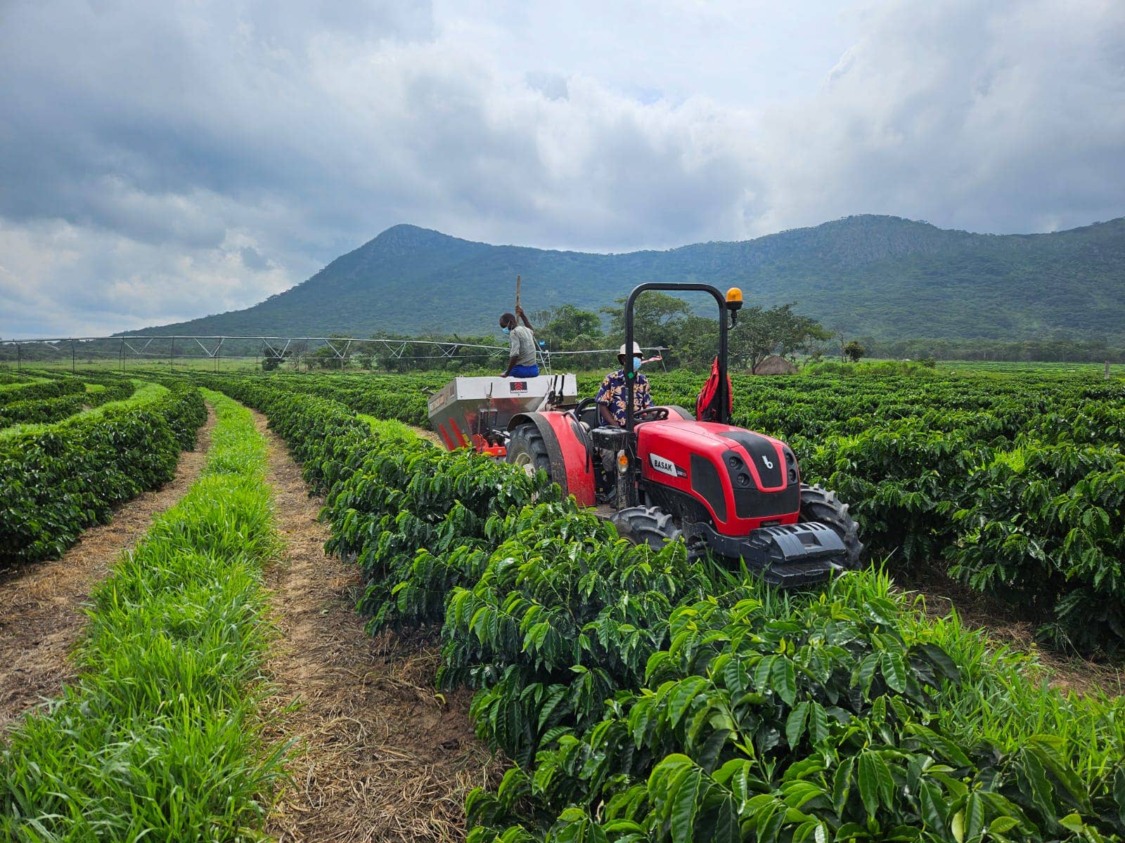 Two Chimps Coffee – wholesale Coffee beans – Single Origin Coffee – Buffa Lo - 250g2