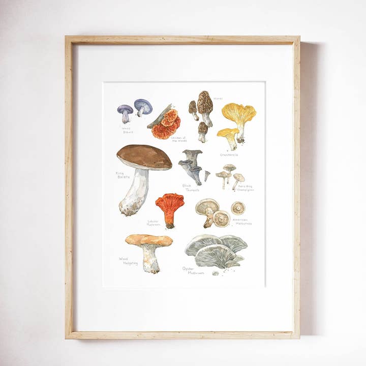 Eetbare paddenstoelen botanische print, keukenwanddecor voor wholesale door Studio Tuesday