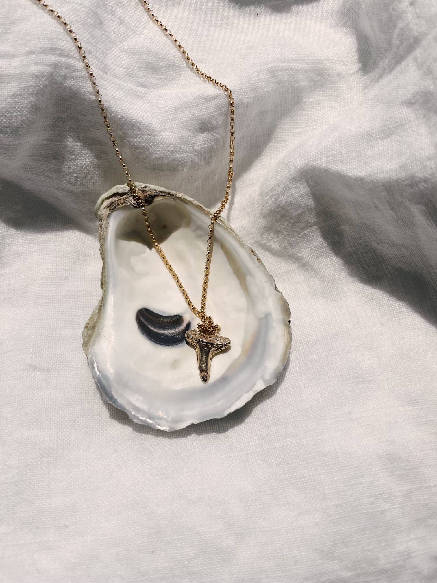 Las Lobas – Großhandel Kette mit Anhänger/Charm – Die Marina Shark Tooth Halskette5