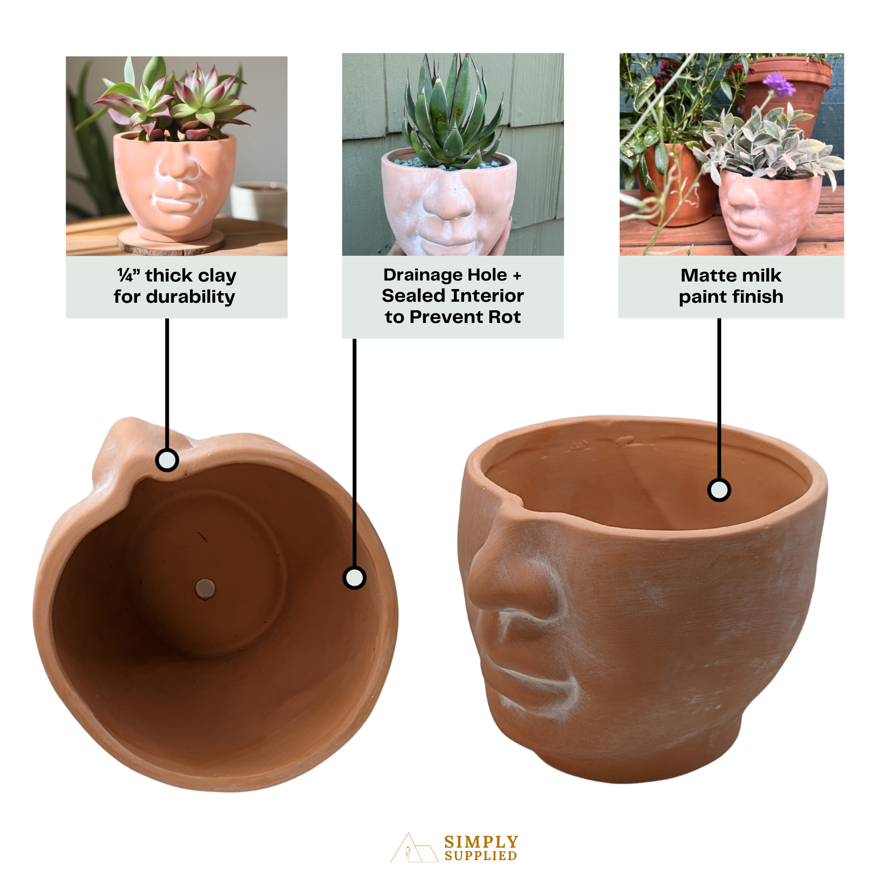 Simply Supplied Co - Wholesale Plant Pot - Face Planter | Terracotta Pot | Unique Planter | Head Pot12