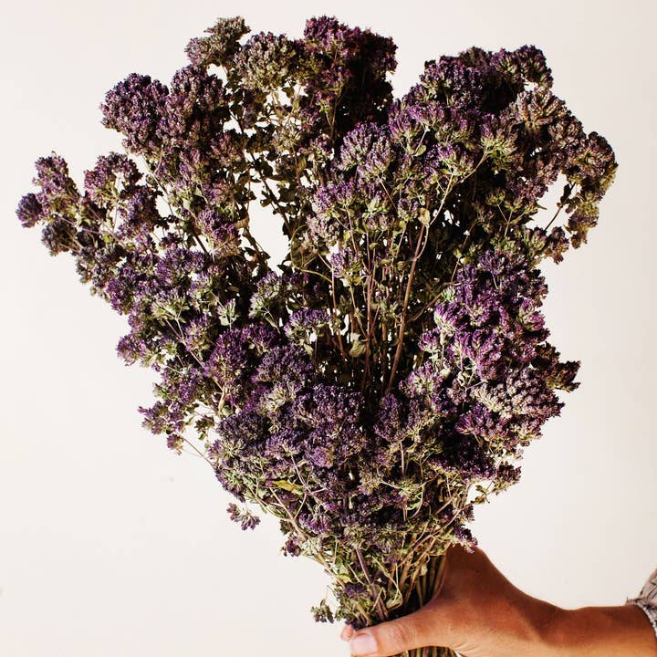 Idlewild Floral Co. - Wholesale Dried/Pressed Flowers - Dark Purple Oregano Blooms