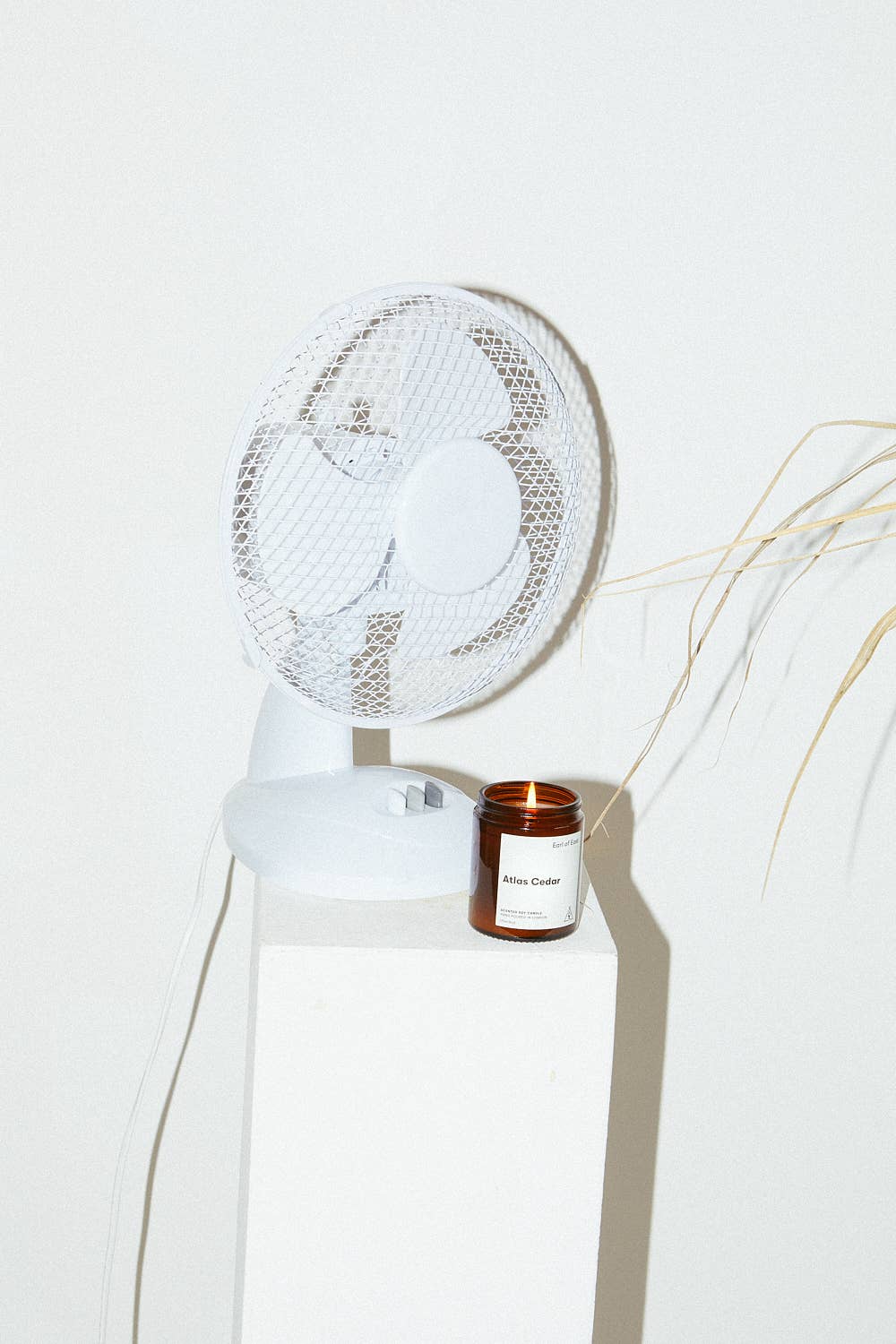 Earl of East – wholesale Jar/filled candle – Atlas Cedar | Soy Wax Candle 170ml [6oz]2