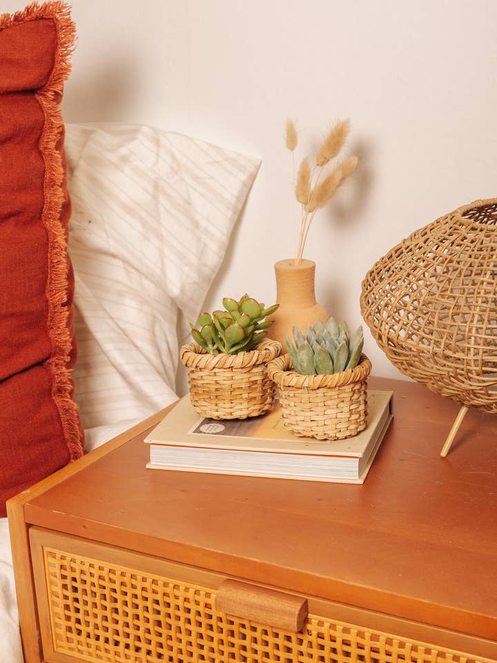 Maceta suculenta para venta al por mayor de Hands Producing Hope