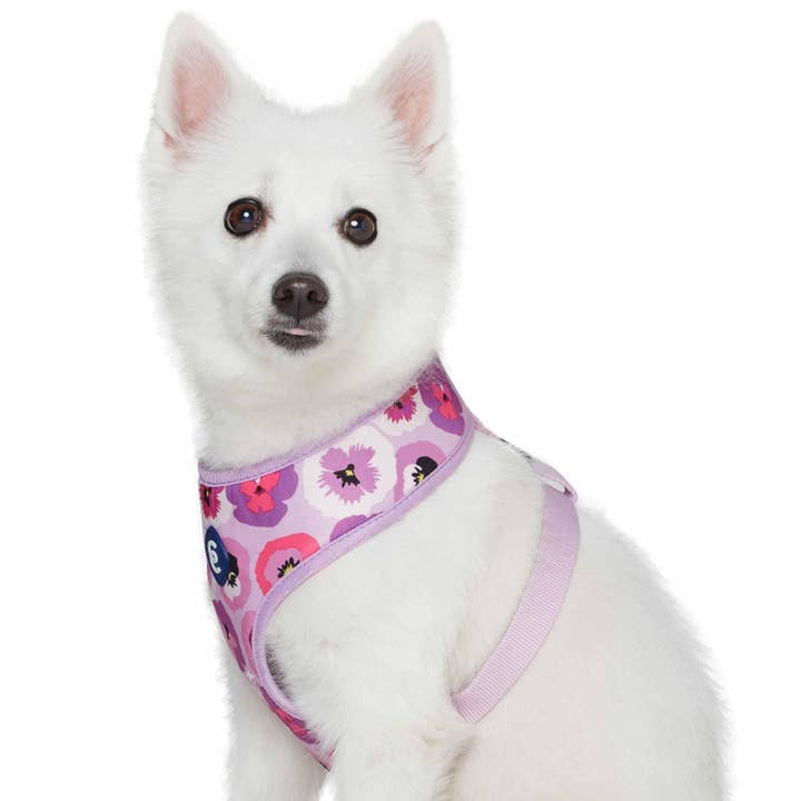 Light Purple Spring Scent Inspired Garden Floral Dog Harness Vest for wholesale on Faire