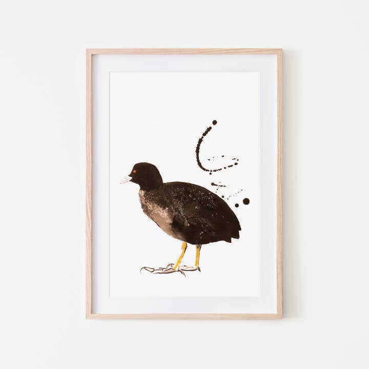 Impression artistique Coot Bird A4 et A3 pour la vente par Studio Angelart