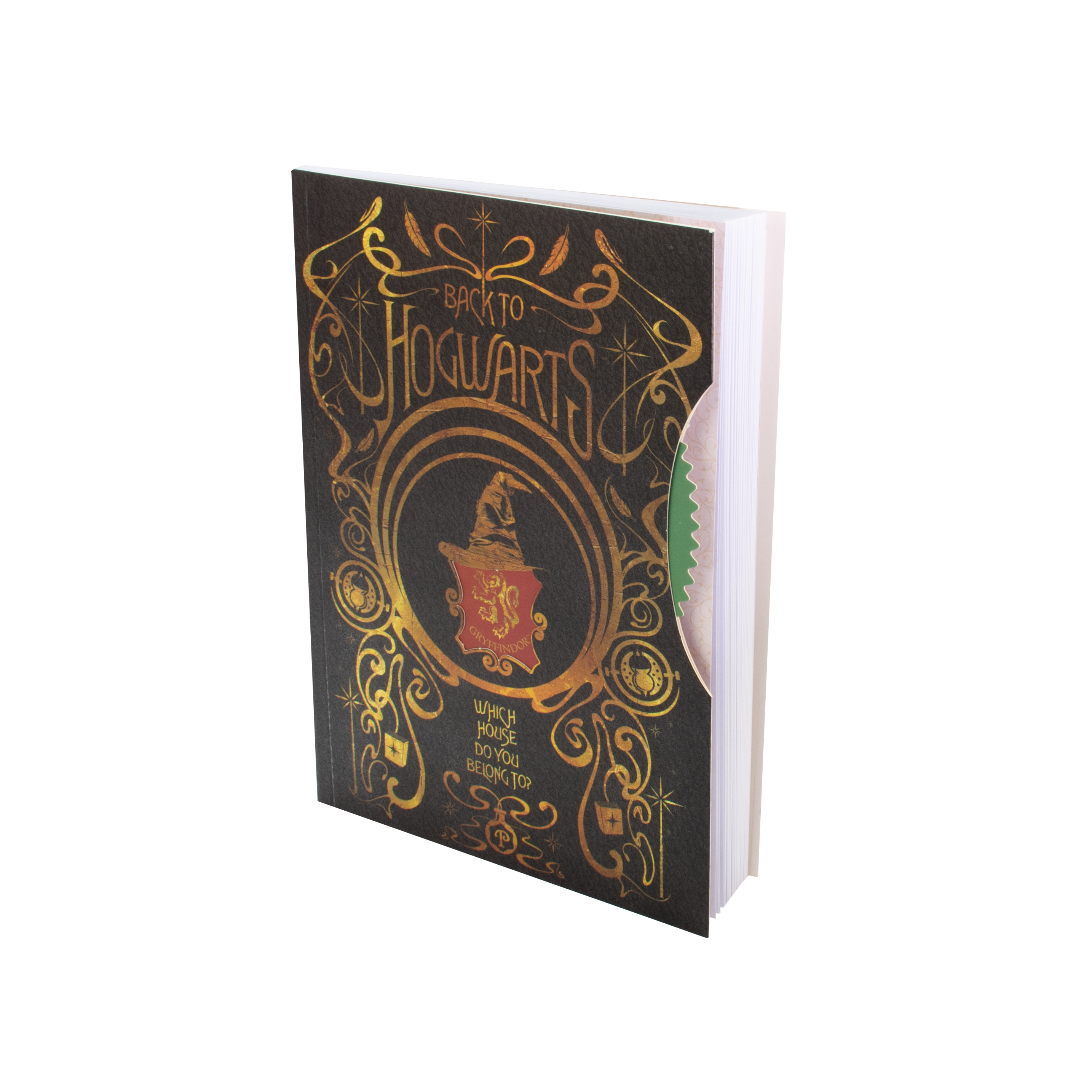 Mad Monkey GmbH - Wholesale Notebook - Harry Potter notebook, diary in A5 format3