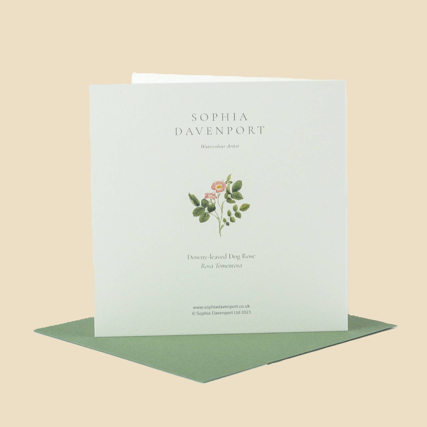 Sophia Davenport - Wholesale Everyday Greeting Card - Wildflower Greeting Cards and Notelets17
