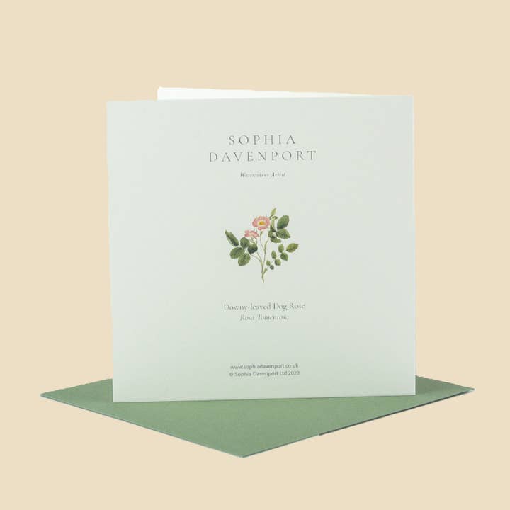 Sophia Davenport - Wholesale Everyday Greeting Card - Wildflower Greeting Cards and Notelets17