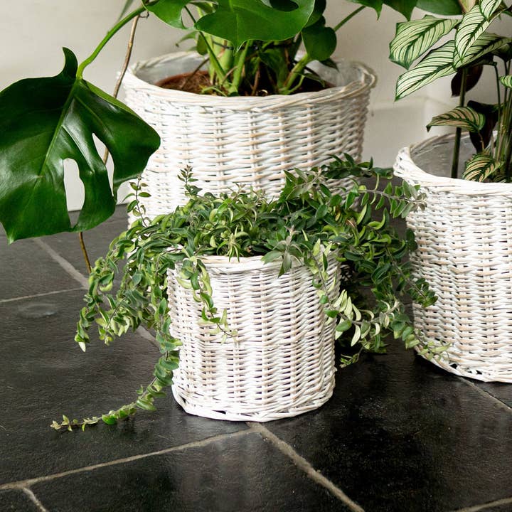 Whitewash rund korgfodrad planteringskorg för wholesale av Arthur Cameron