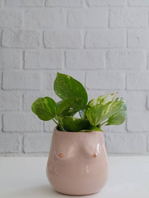 Maceta Olympe, lisa para venta al por mayor de Vivas Ceramica