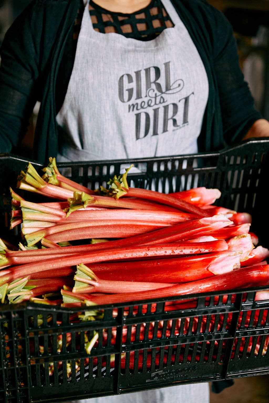 Girl Meets Dirt - Vente Conserve de fruits - Rhubarbe Lavande Cuillère Conserver 7.75oz3