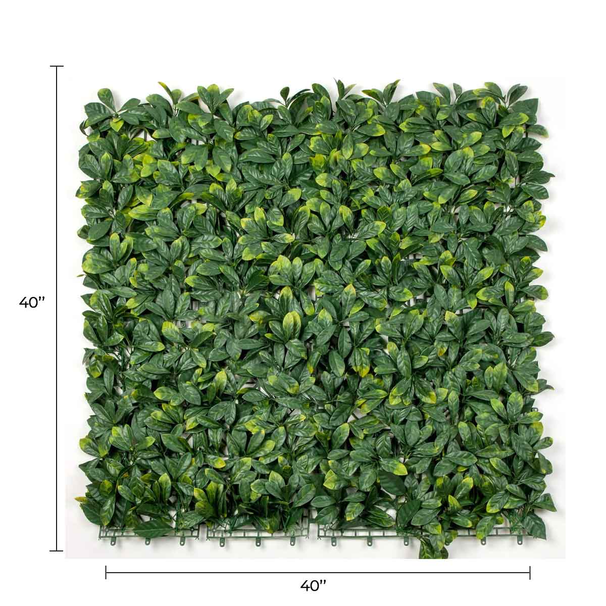 Designer Plants - Wholesale Artificial Plant - Premium Laurel Artificial Vertical Garden Wall 40" x 40" 11SQ FT Commercial Grade UV Resistant2