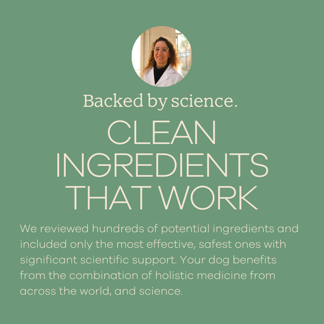 Yumwoof Natural Pet Food - Wholesale Pet Supplement - Dog - Perfect Digestion 2